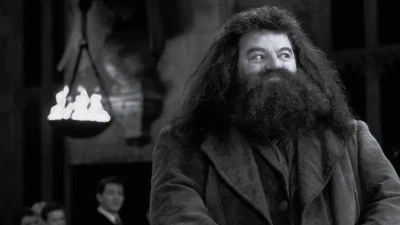 Θρήνος στον καλλιτεχνικό χώρο - Πέθανε ο Χάγκριντ του «Χάρι Πότερ»
