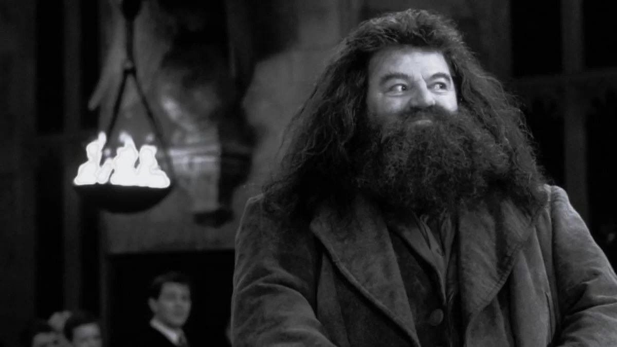 Θρήνος στον καλλιτεχνικό χώρο - Πέθανε ο Χάγκριντ του «Χάρι Πότερ»