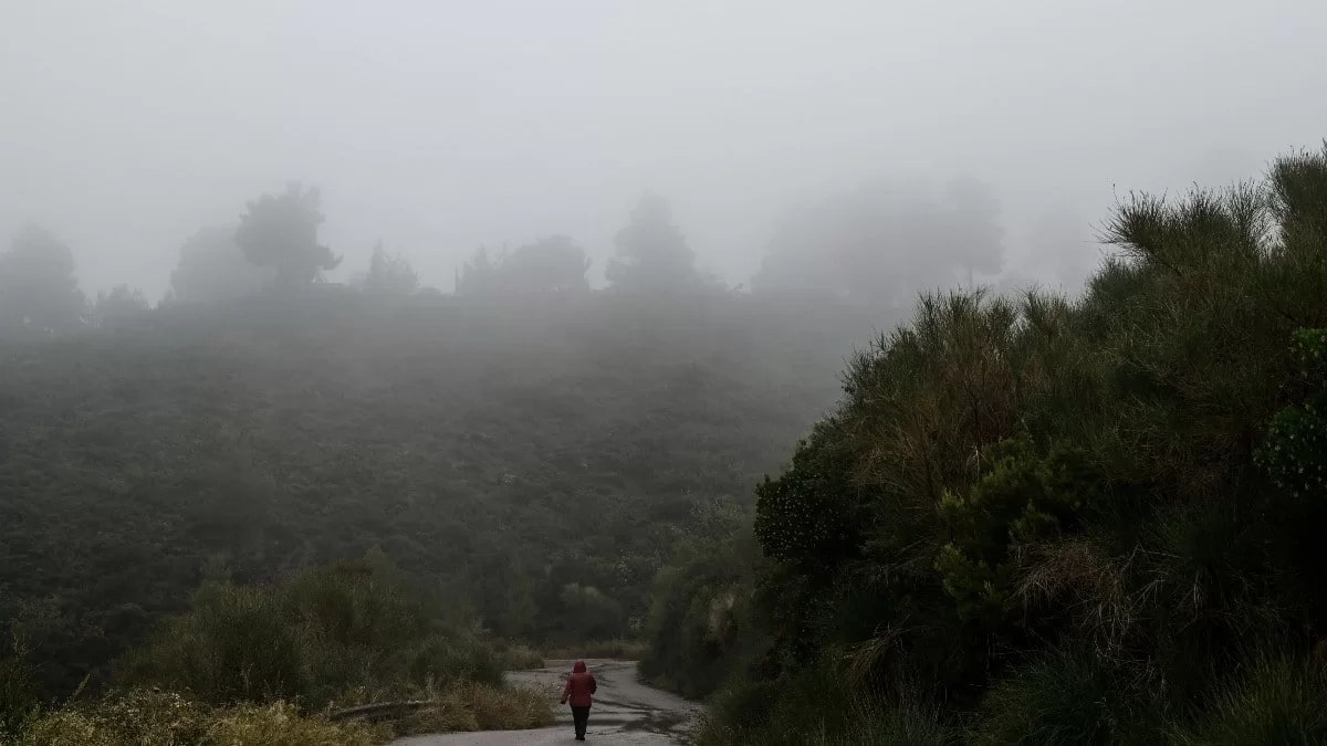 Καιρός: Καταιγίδες σήμερα 12/11 - Που θα είναι πιο έντονα τα φαινόμενα
