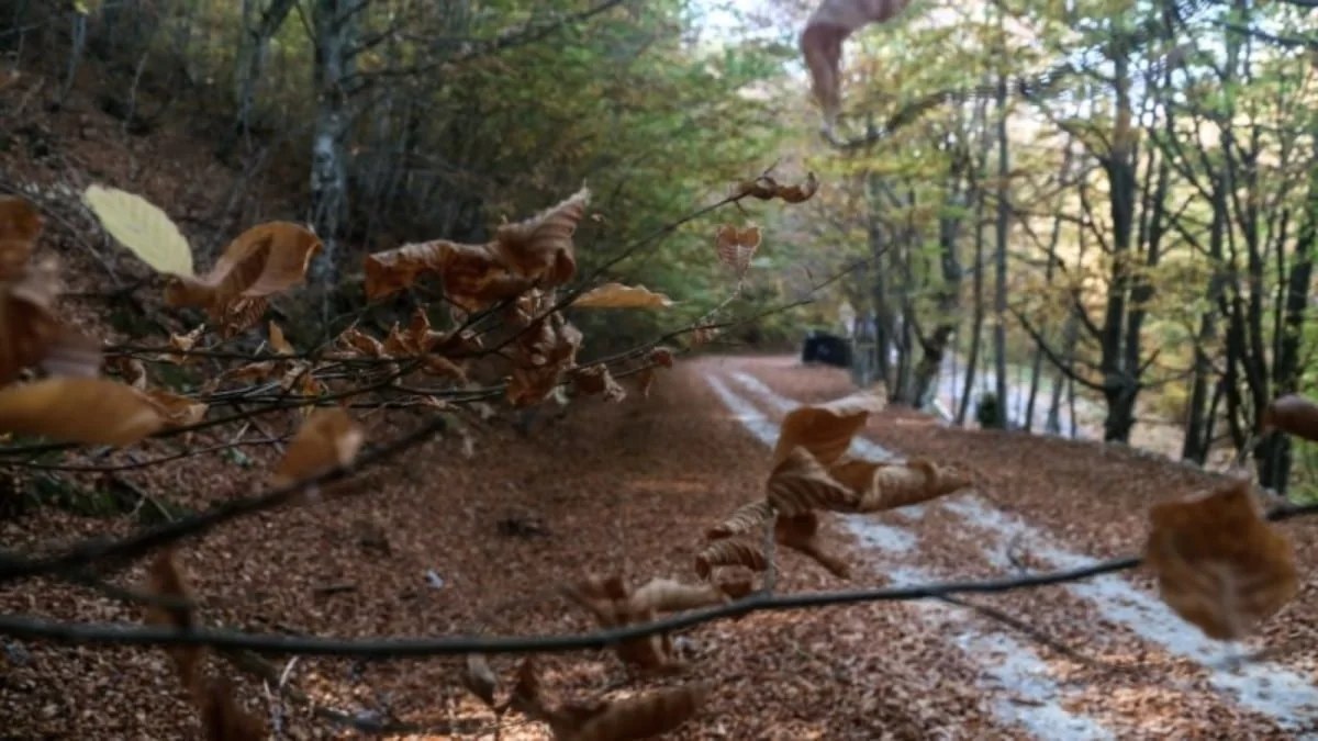 Καιρός 27/11: Με τοπικές βροχές κυρίως στη Θεσσαλία, τη Μακεδονία και... - Ποια η θερμοκρασία