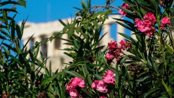 Καιρός σήμερα 1/11: Με λίγα μποφόρ το Αιγαίο - Που θα φτάσει η θερμοκρασία