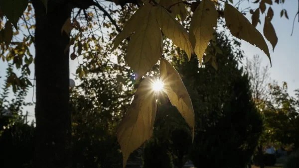 Καιρός 9/1: Τοπικές βροχές και σποραδικές καταιγίδες - Που θα σημειωθούν