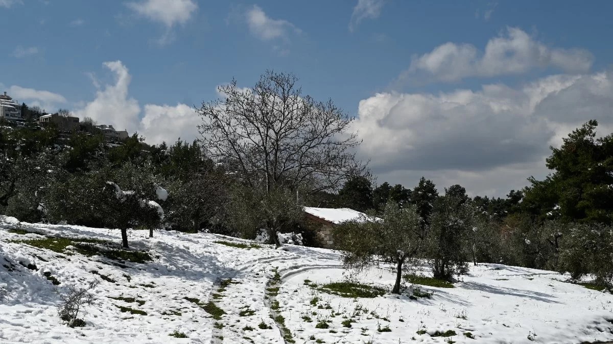 Καιρός: Έρχεται η «πολική μπάλα» - Θα ντυθεί στα λευκά η Ελλάδα!