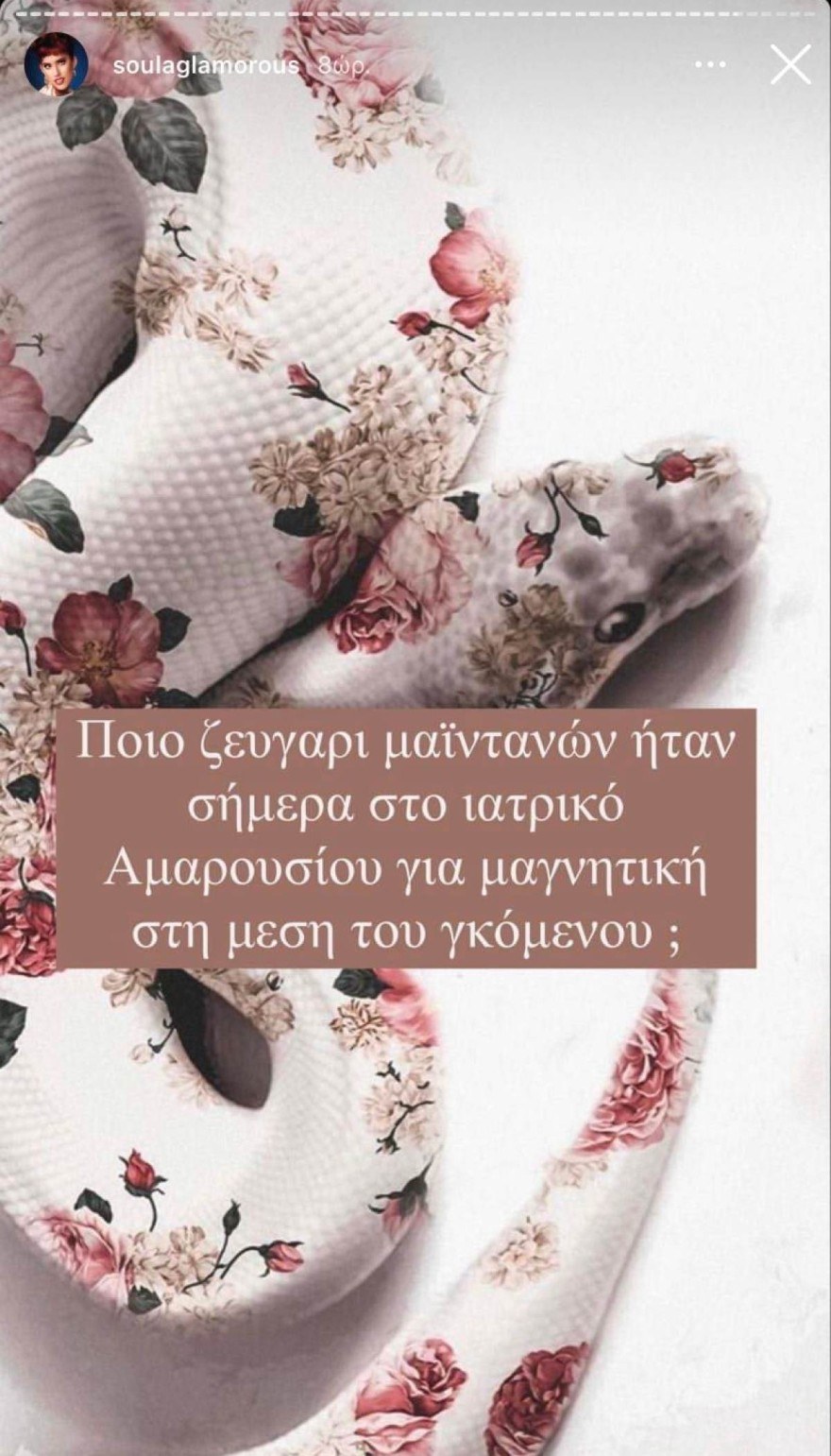 Βασίλης Μπισμπίκης Δέσποινα Βανδή