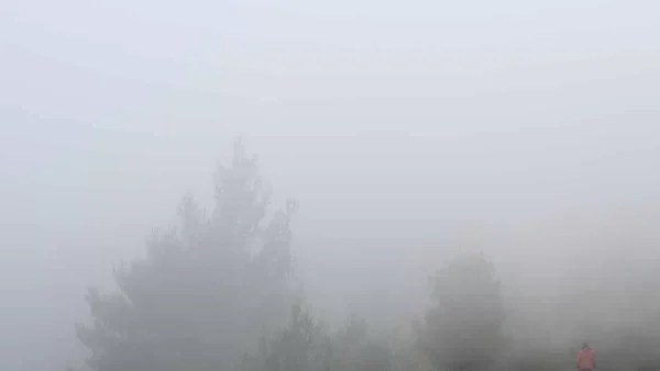 Καιρός (5/1): Γενικά αίθριος καιρός με αυξημένες νεφώσεις - Οι περιοχές που θα επηρεαστεί η ορατότητα στους δρόμους