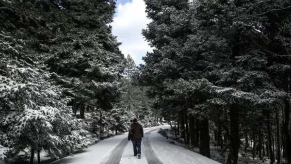 Καιρός (8/2): Παγετός! Χαμηλές θερμοκρασίες και πολλά μποφόρ - Ποιες περιοχές θα "πληγούν"
