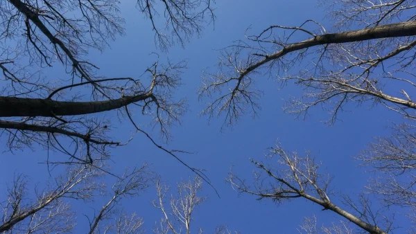 Χαλάει από σήμερα 26/2 ο καιρός - Τοπικές βροχές και καταιγίδες