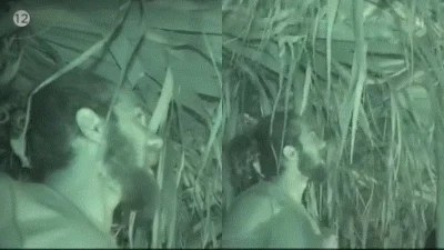 Survivor All Star: «Ποιος ψηφίζει να το φάμε;» - Ο νόστιμος "επισκέπτης" στην καλύβα των Διασήμων