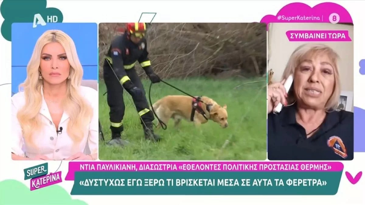 Τέμπη: «Έπαιρνα τα κομμάτια, τα τοποθετούσαμε σε σακούλες και...» - Ανατριχιάζει η περιγραφή διασώστριας για τα πτώματα ων θυμάτων