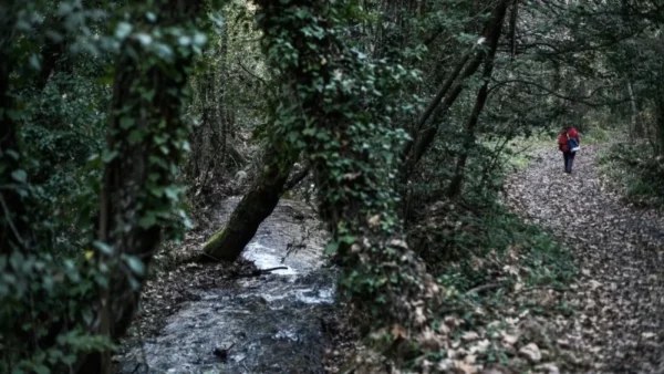 Καιρός 22/3: Μικρή πτώση θερμοκρασία και πιθανές βροχές - Που θα είναι πιο έντονα τα φαινόμενα