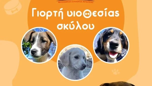 Γιορτή υιοθεσίας σκύλου: Που και πότε θα πραγματοποιηθεί