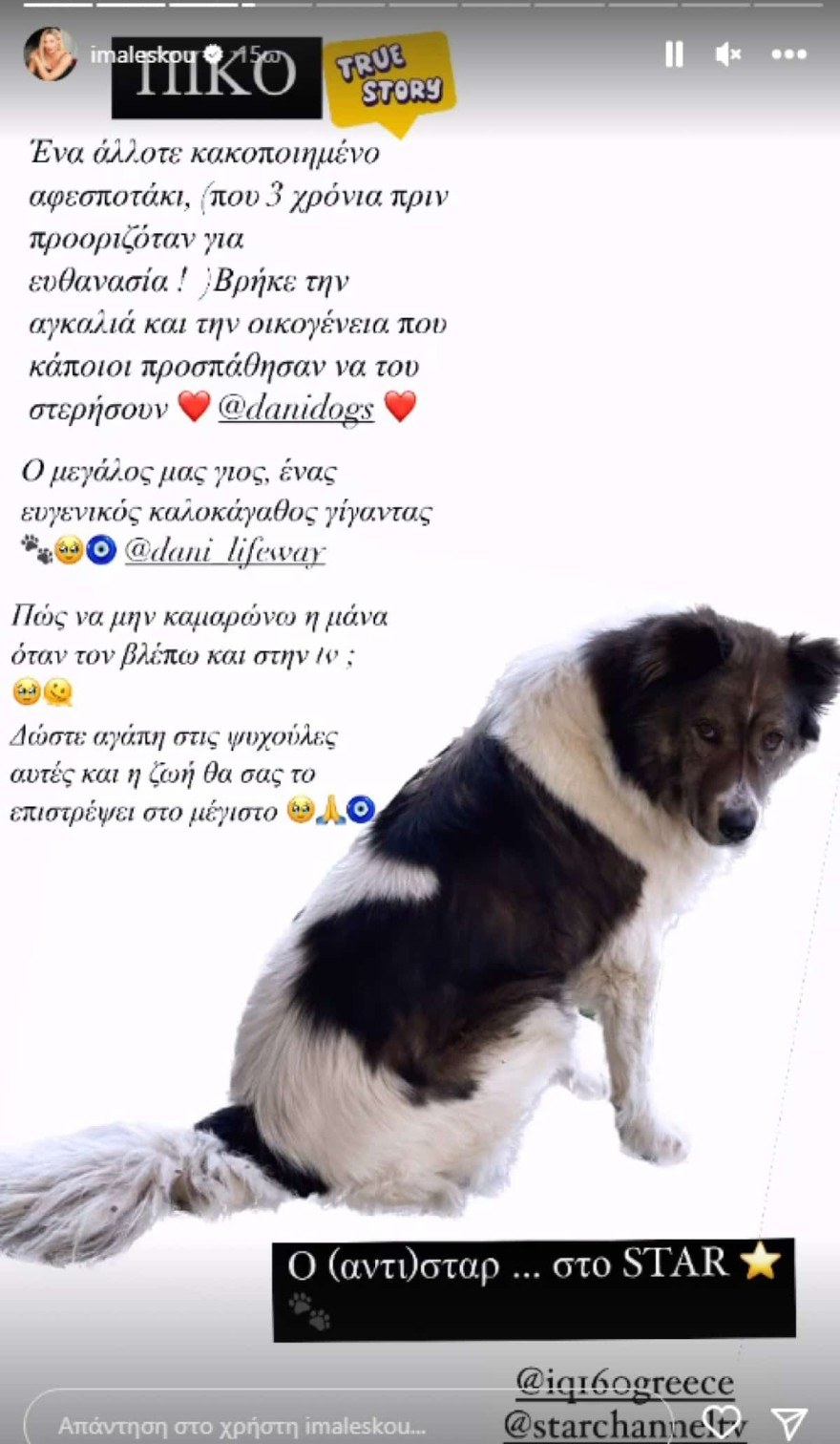 Ιωάννα Μαλέσκου