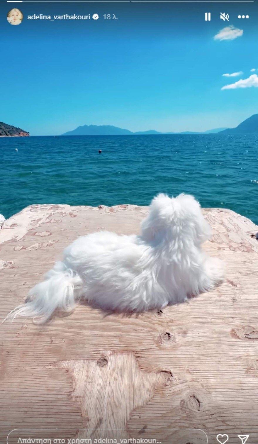 Aντελίνα Βαρθακούρη