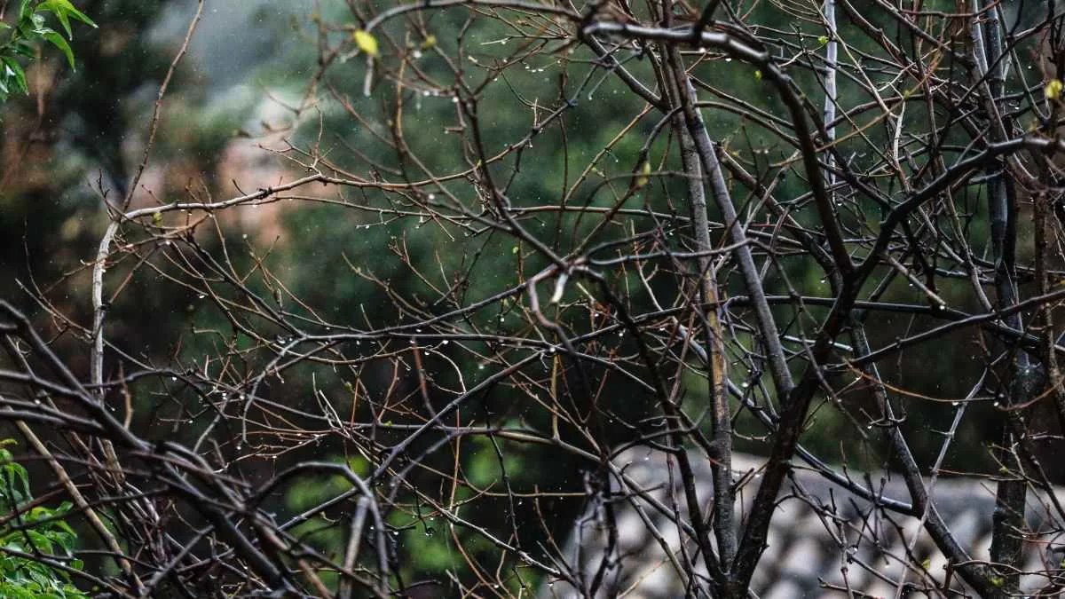 Έντονα καιρικά φαινόμενα τις επόμενες δύο μέρες - Δεν λέει να υποχωρήσει η κακοκαιρία