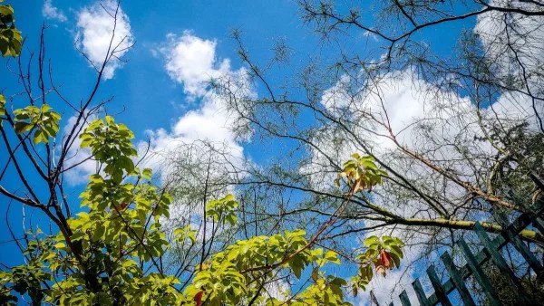 Αίθριος ο καιρός σήμερα 25/5 - Που θα φτάσει η θερμοκρασία
