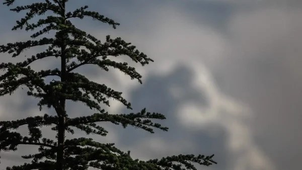 Καιρός 28/5: Βροχές και καταιγίδες - Σε ποιες περιοχές θα εμφανιστούν πιο έντονα φαινόμενα