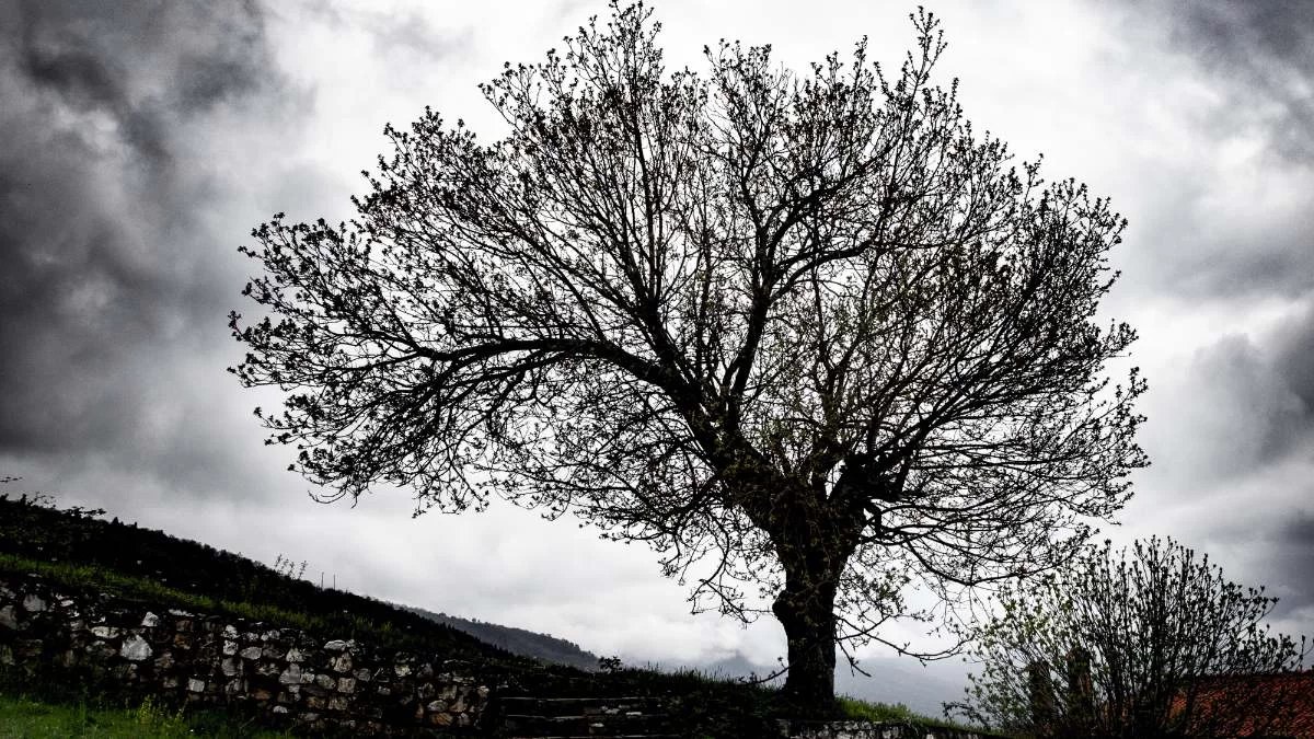 Με τι καιρό θα ψηφίσουν σήμερα 21/5 οι πολίτες - Αναλυτικά η πρόγνωση της ΕΜΥ