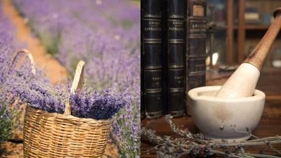 Athonites: Νέο ελληνικό beauty brand με τη δύναμη της φύσης!