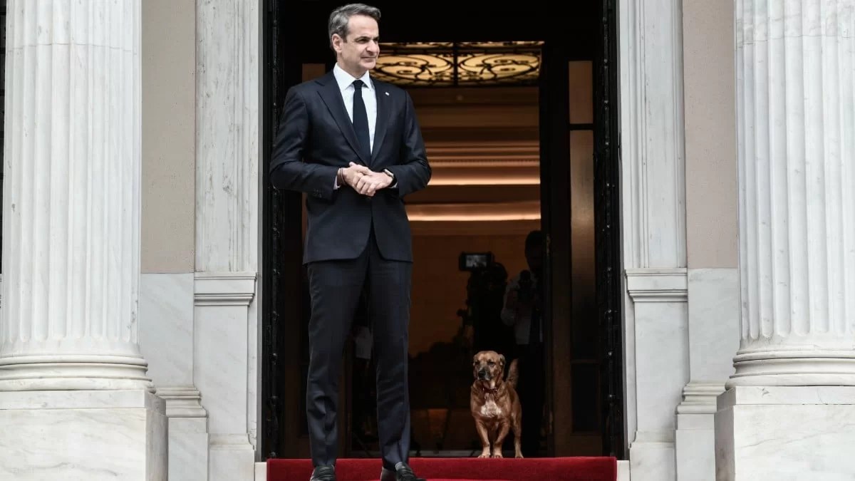Έφυγε ο Πίνατ από το Μέγαρο Μαξίμου - Που βρίσκεται ο σκύλος του Κυριάκου Μητσοτάκη μετά την τελετή παράδοσης