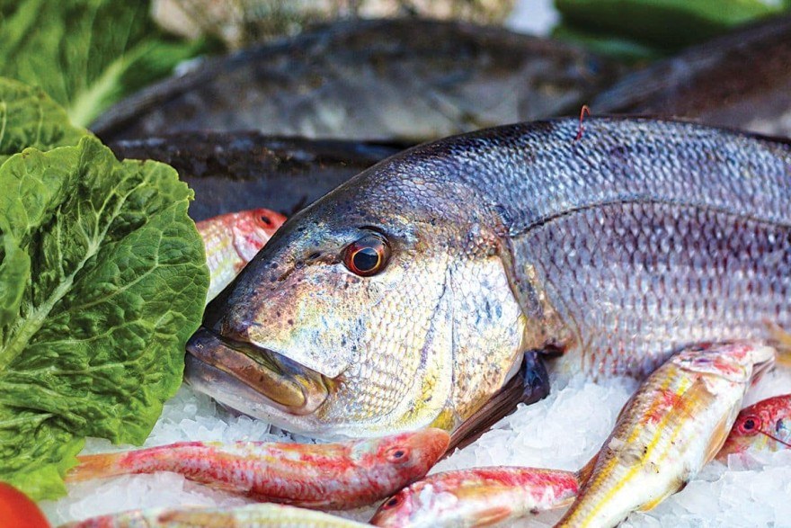 Fish by the sea!