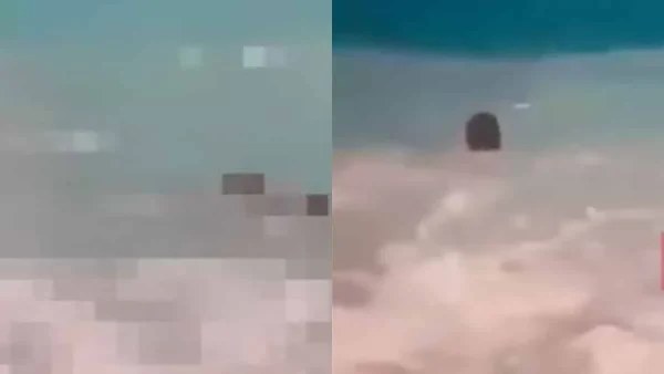 Τραγωδία στην Λευκάδα: Βίντεο ντοκουμέντο από την ανάσυρση του πτώματος του τουρίστα που πνίγηκε