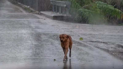 Έκτακτο Δελτίο Επικίνδυνων Καιρικών Φαινομένων: Μπουρίνια και καταιγίδες θα πλήξουν τη χώρα - Πού θα χτυπήσουν και πόσο θα διαρκέσουν