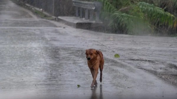 Έκτακτο Δελτίο Επικίνδυνων Καιρικών Φαινομένων: Μπουρίνια και καταιγίδες θα πλήξουν τη χώρα - Πού θα χτυπήσουν και πόσο θα διαρκέσουν
