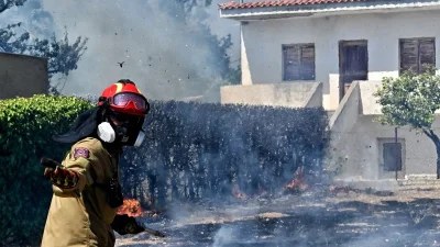 Κάηκε το καταφύγιο ζώων FAZOO: «Αυτή τη στιγμή θέλω να πεθάνω!» - Ραγίζει καρδιές η ανάρτηση της υπεύθυνης