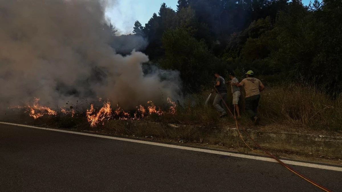 Φωτιά στην Ηλεία - Απεγκλωβίστηκε κοπάδι με πρόβατα