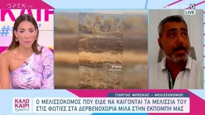 Φωτιά Δερβενοχώρια: «Κάηκαν τα παιδιά μας. Κάηκαν γύρω στα 40 μελίσσια» - Σάλος στο tik tok με το βίντεο του μελισσοκόμου