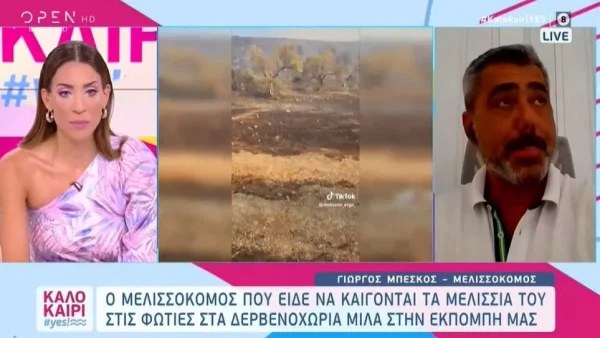 Φωτιά Δερβενοχώρια: «Κάηκαν τα παιδιά μας. Κάηκαν γύρω στα 40 μελίσσια» - Σάλος στο tik tok με το βίντεο του μελισσοκόμου