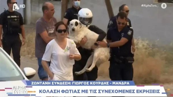 Φωτιά στη Μάνδρα: Η συγκινητική στιγμή που η ΕΛ.ΑΣ σώζει τρομαγμένο σκυλάκι