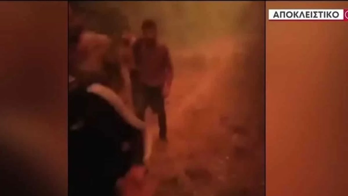 Σοκαριστικό: Βίντεο ντοκουμέντο από τις τελευταίες στιγμές των 18 ανθρώπων που απανθρακώθηκαν στο δάσος της Δαδιάς