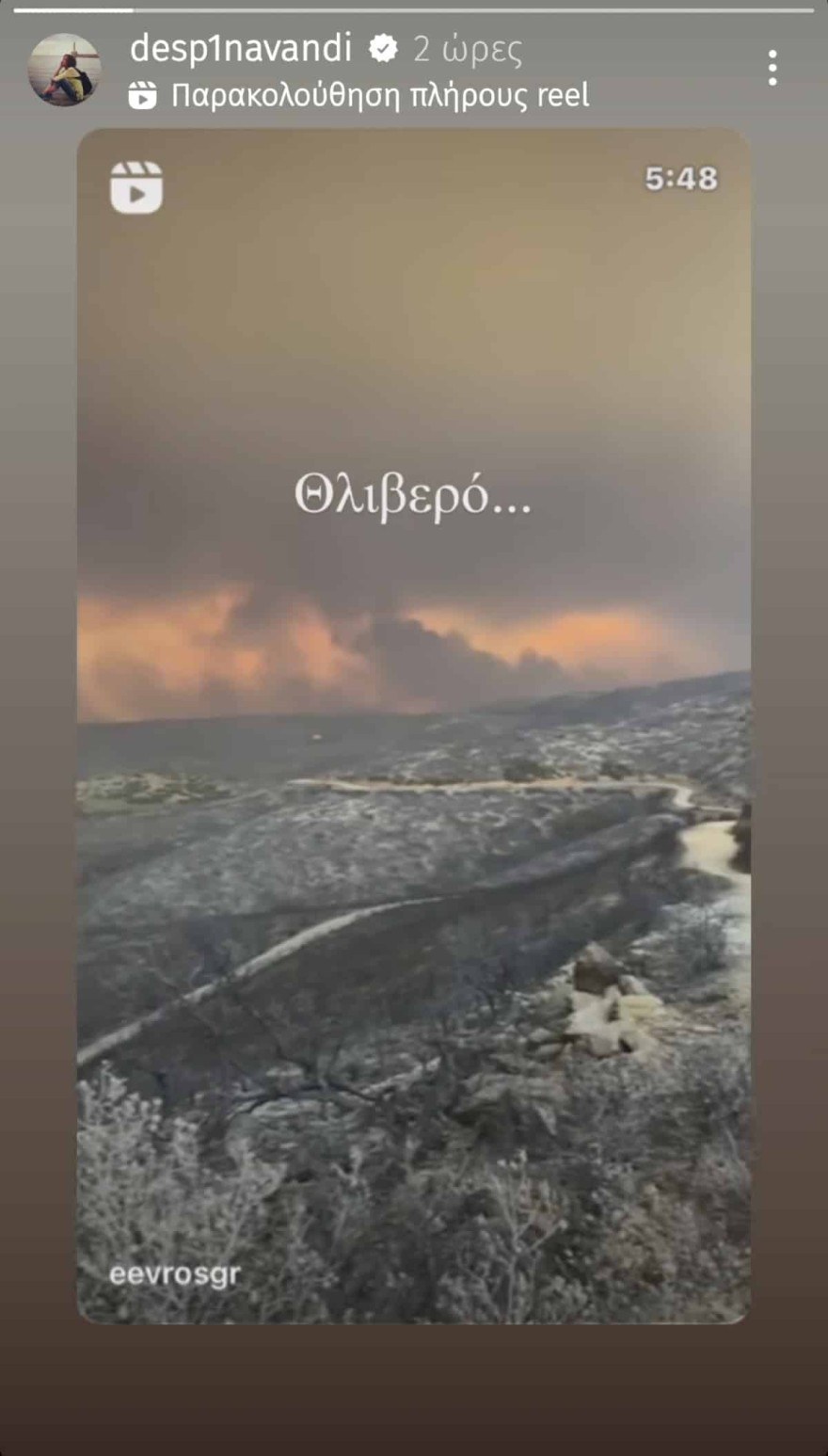 Δέσποινα Βανδή φωτιά Έβρος