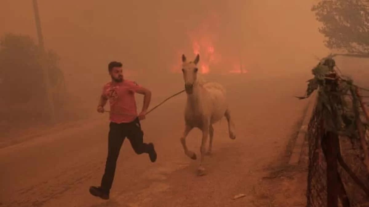 Αυτός είναι ο ήρωας της φωτιάς στη Φυλή: «Αν το παιδί μου δεν γνωρίσει τον πατέρα του;» - Τσακίζει κόκκαλα η σύζυγός του