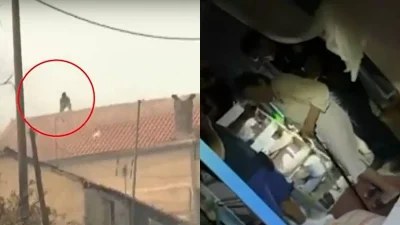Σκηνές τρόμου στη φλεγόμενη Φυλή: Καρέ καρέ η διάσωση ηλικιωμένης γυναίκας - Σοκάρει το βίντεο με τον άντρα που ανέβηκε στη στέγη για να σώσει το σπίτι του