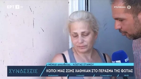 «Αυτό που έβλεπα δεν μπορούσα να το περάσω» - Ραγίζουν καρδιές οι περιγραφές πολιτών για την φωτιά στο Μενίδι