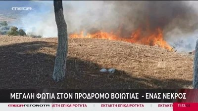 Φωτιά στη Βοιωτία: Ένας νεκρός