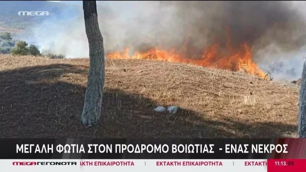 Φωτιά στη Βοιωτία: Ένας νεκρός