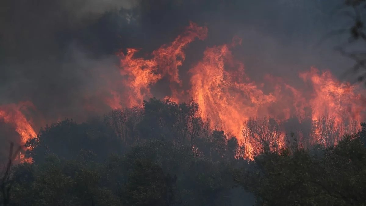 Φλέγεται ο Έβρος για 15η ημέρα - Εκκενώνεται νέος οικισμός