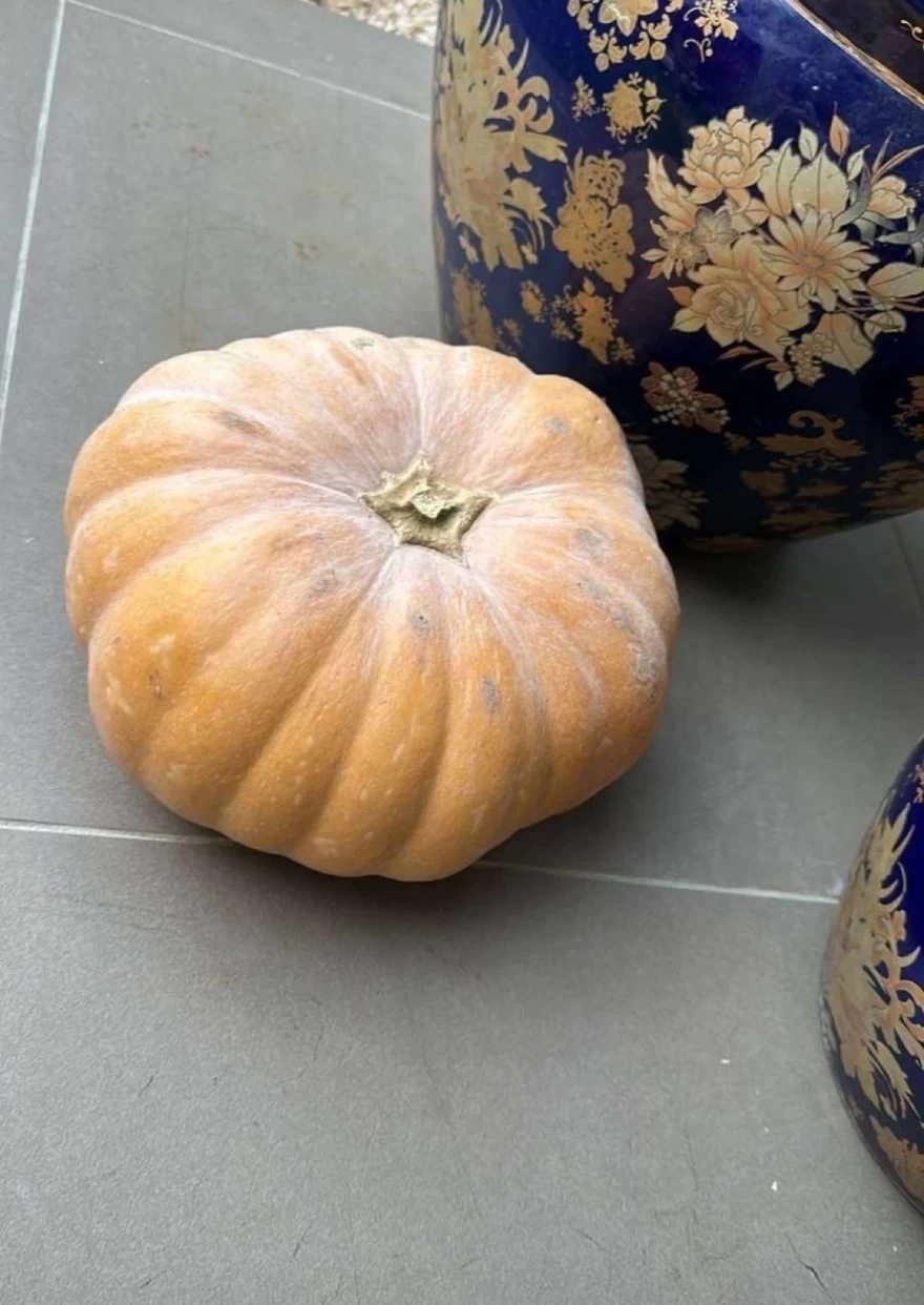 Σκορδά Halloween