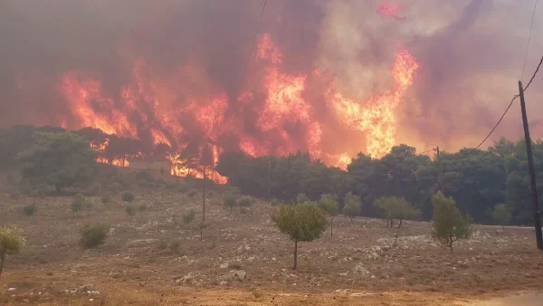 Φωτιά στη Ζάκυνθο - Η ανακοίνωση της Πυροσβεστικής