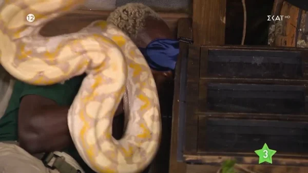  I’m a Celebrity Get Me Out of Here 22/11: «Τι είναι αυτό ρε;» -  Χαμός με τον Πάτρικ και το φίδι