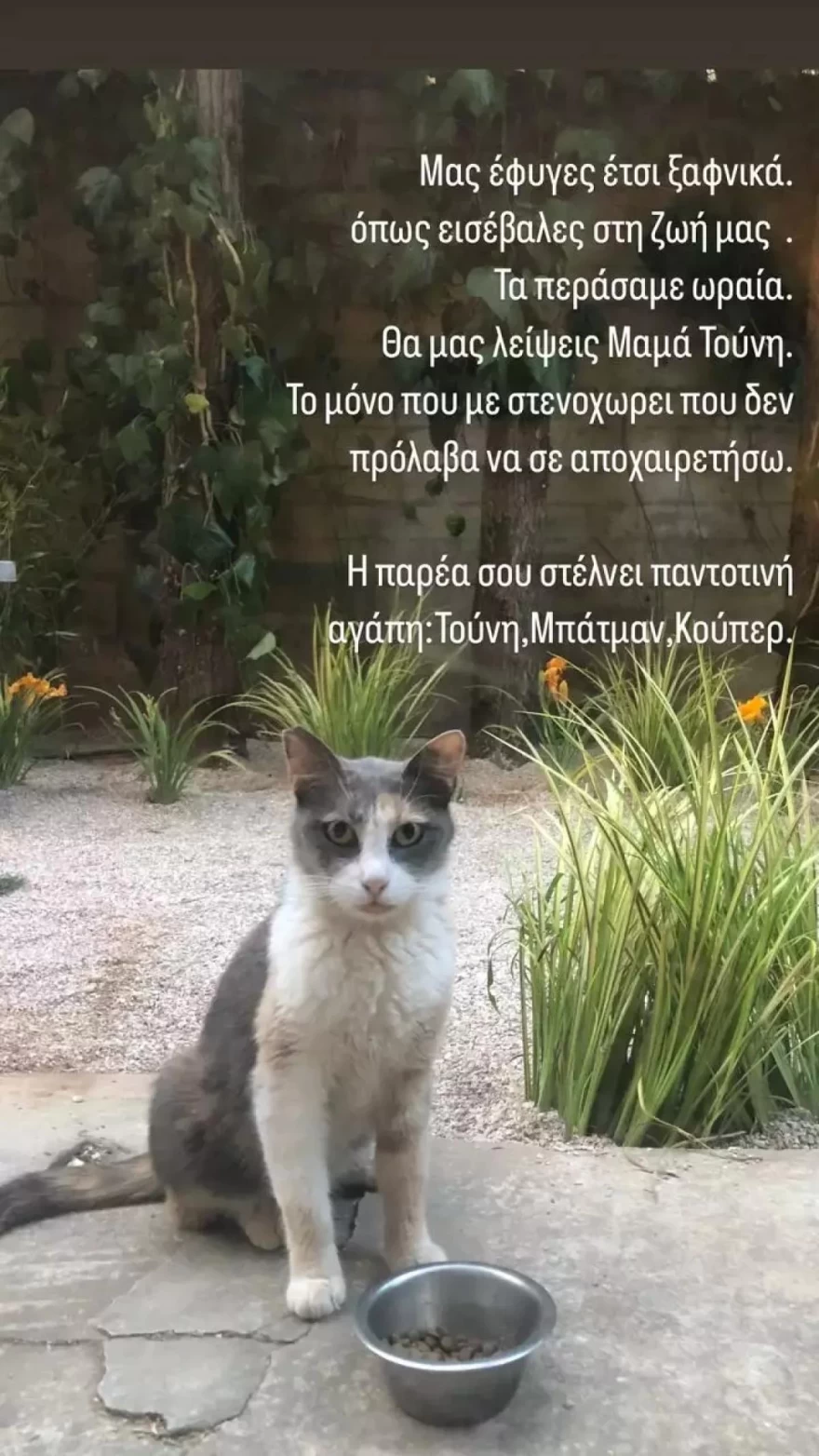 Γιούλικα Σκαφιδά θάνατος γάτας