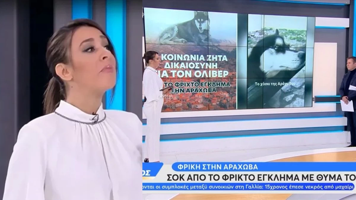 Αράχωβα: Ξέσπασε σε λυγμούς η δημοσιογράφος της εκπομπής Ώρα Ελλάδος - «Χίλια συγγνώμη δεν μου έχει ξανασυμβεί αυτό»