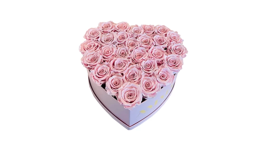 pink roses