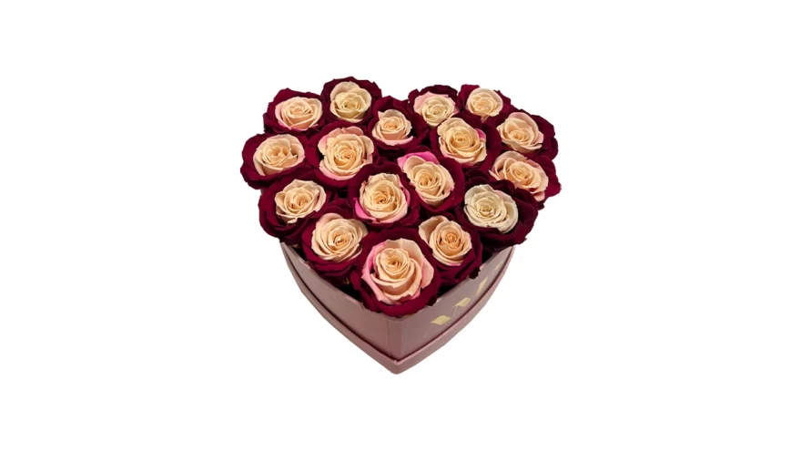 multi roses