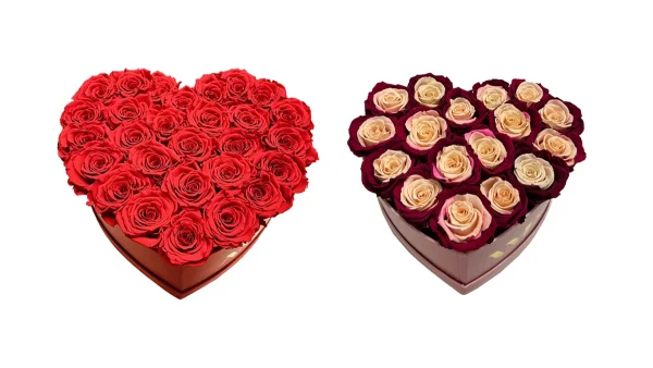 Amma Roses: Τριαντάφυλλα για την ημέρα του Αγίου Βαλεντίνου