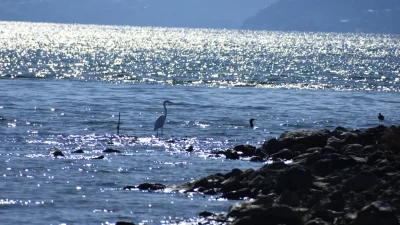 Γενικά αίθριος ο καιρός σήμερα 5/2 με άνοδο της θερμοκρασίας - Δείτε αναλυτικά