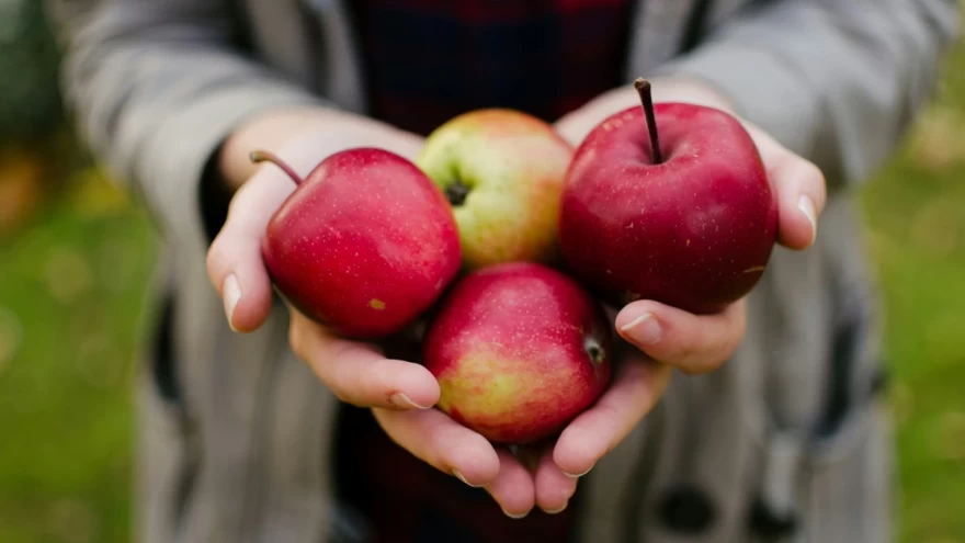 apples